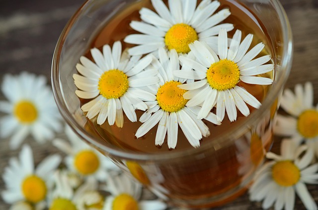Dynapharm Best Selling Products Kenya: Your Complete Natural Guide