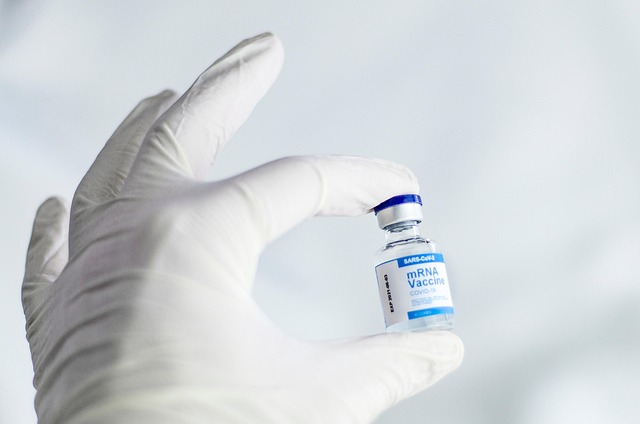 Knee Replacement Prevention Supplement Kenya — Complete Guide